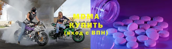 сатива Новозыбков