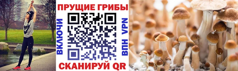 купить Талица Галлюциногенные грибы мухоморы